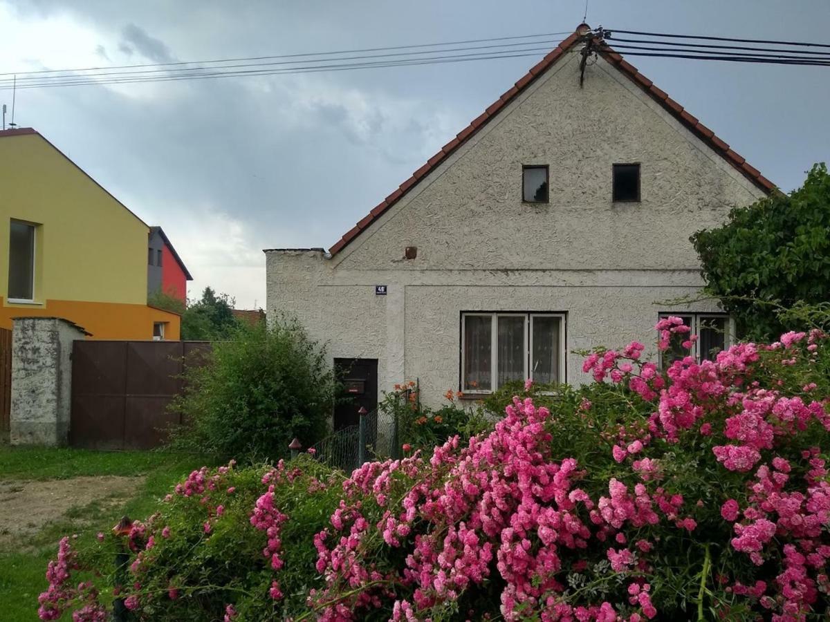 דירות Novosedly nad Nežárkou Na Chalupe U Sadky מראה חיצוני תמונה